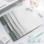 Carpeta Organizadora Expandible A4 - gris